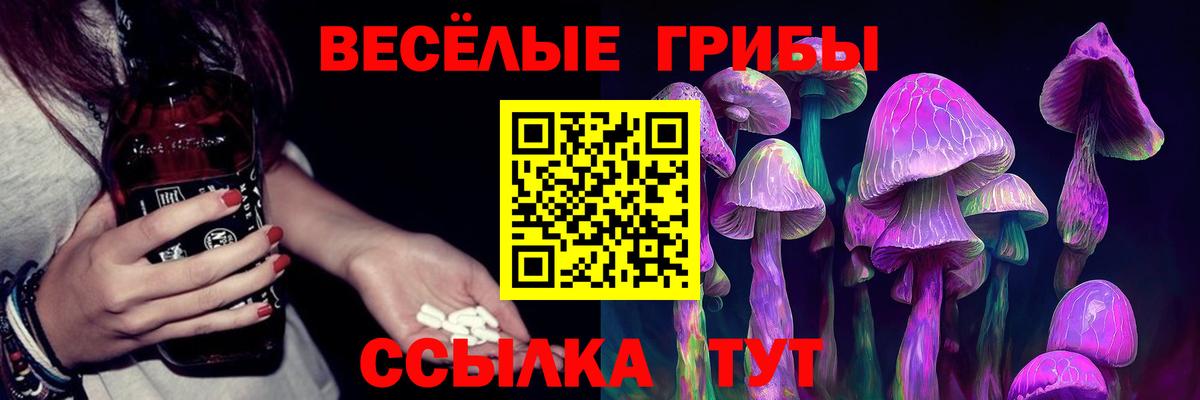 дарнет шоп  Вход с VPN  Пушкино  Галлюциногенные грибы мухоморы  Псилоцибиновые грибы прущие грибы 
